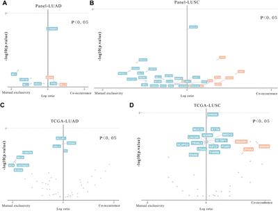 Genomic Landscape of Metastatic Lymph Nodes and Primary Tumors in Non-Small-Cell Lung Cancer